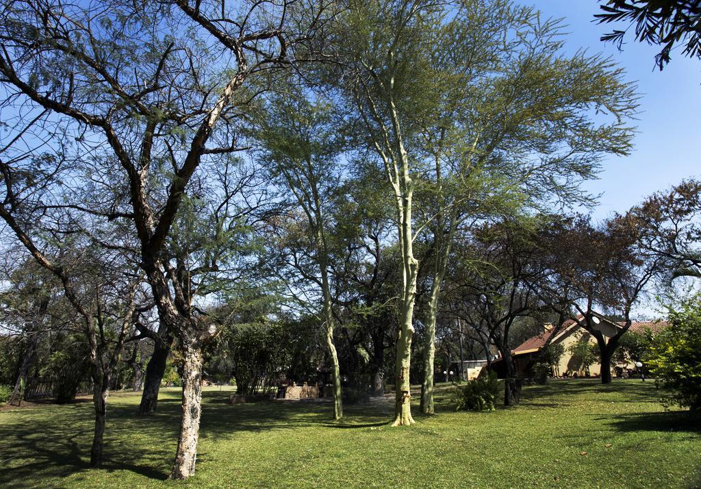 Sunbird Lodge Phalaborwa Εξωτερικό φωτογραφία