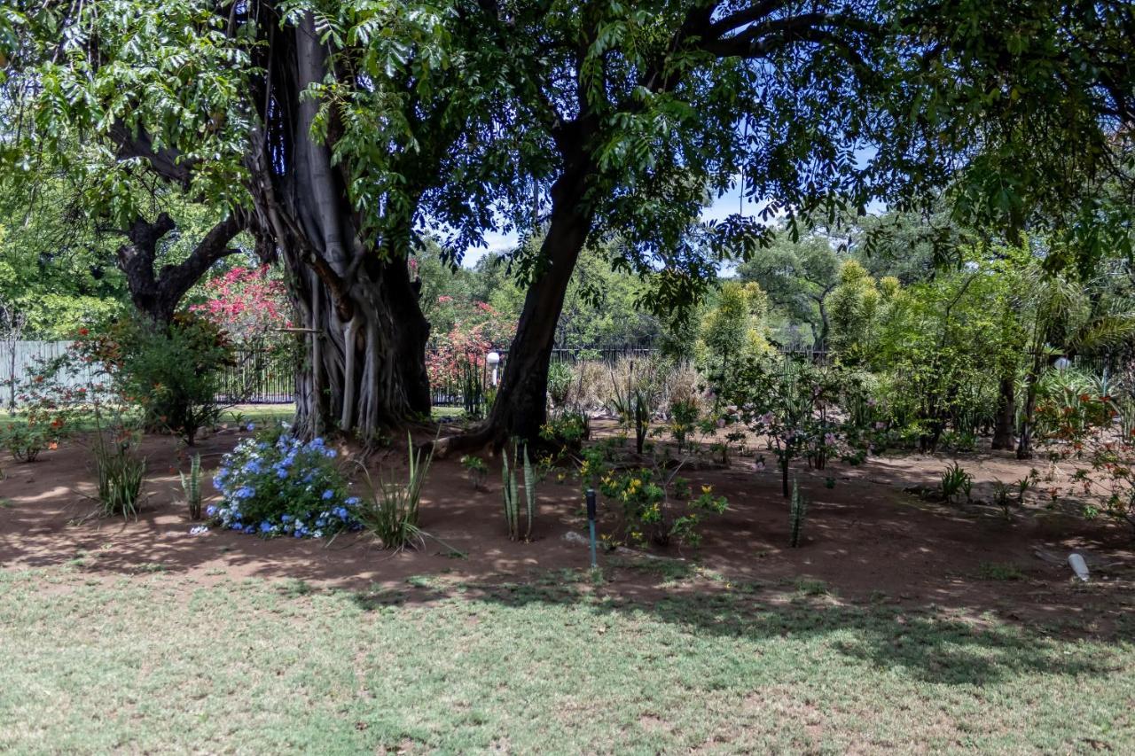 Sunbird Lodge Phalaborwa Εξωτερικό φωτογραφία