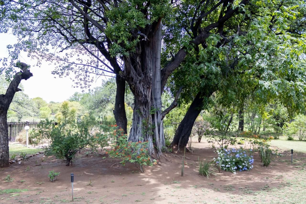 Sunbird Lodge Phalaborwa Εξωτερικό φωτογραφία