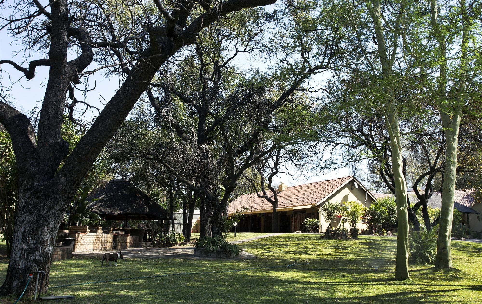 Sunbird Lodge Phalaborwa Εξωτερικό φωτογραφία