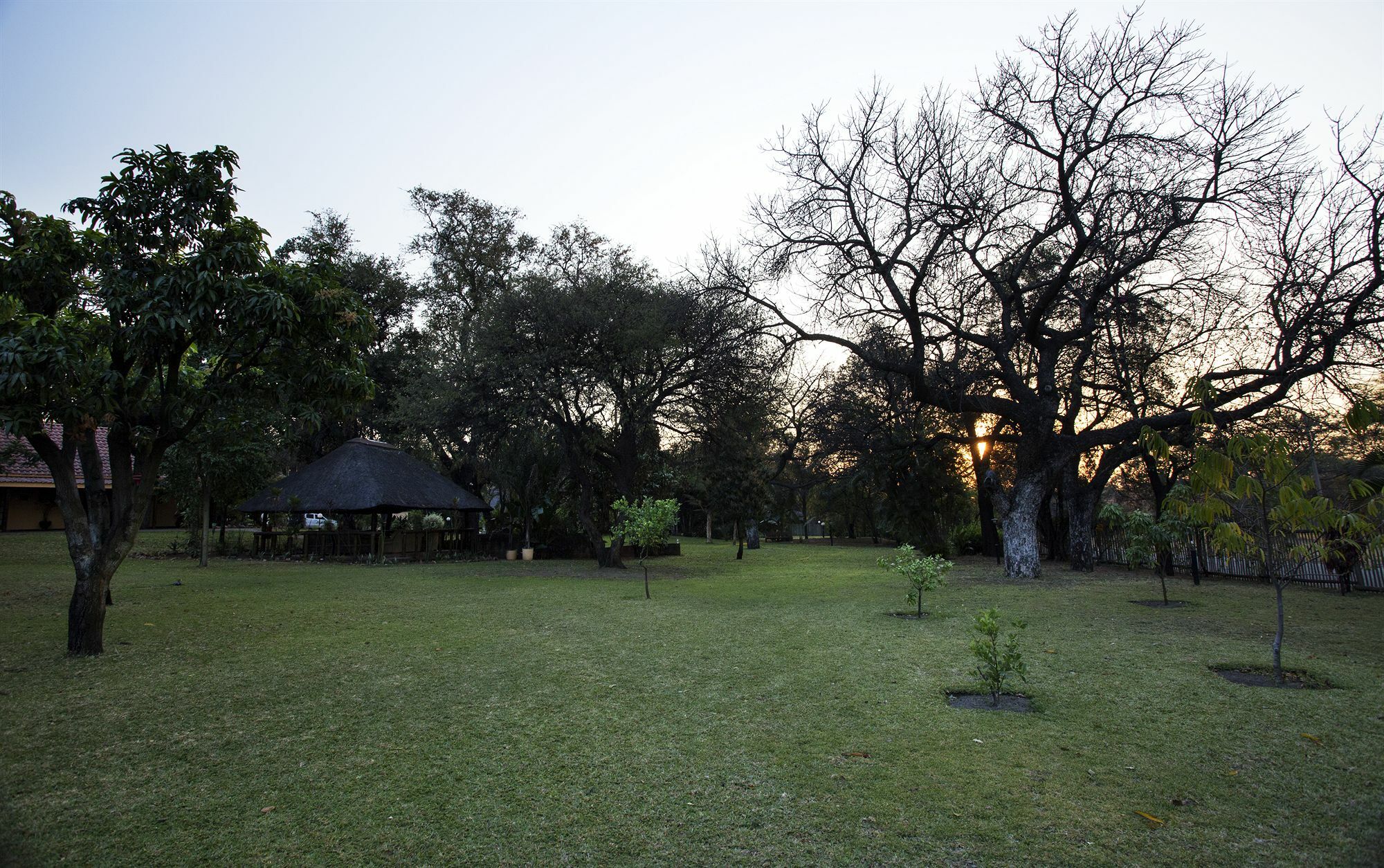 Sunbird Lodge Phalaborwa Εξωτερικό φωτογραφία